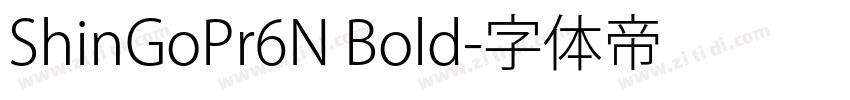 ShinGoPr6N Bold字体转换